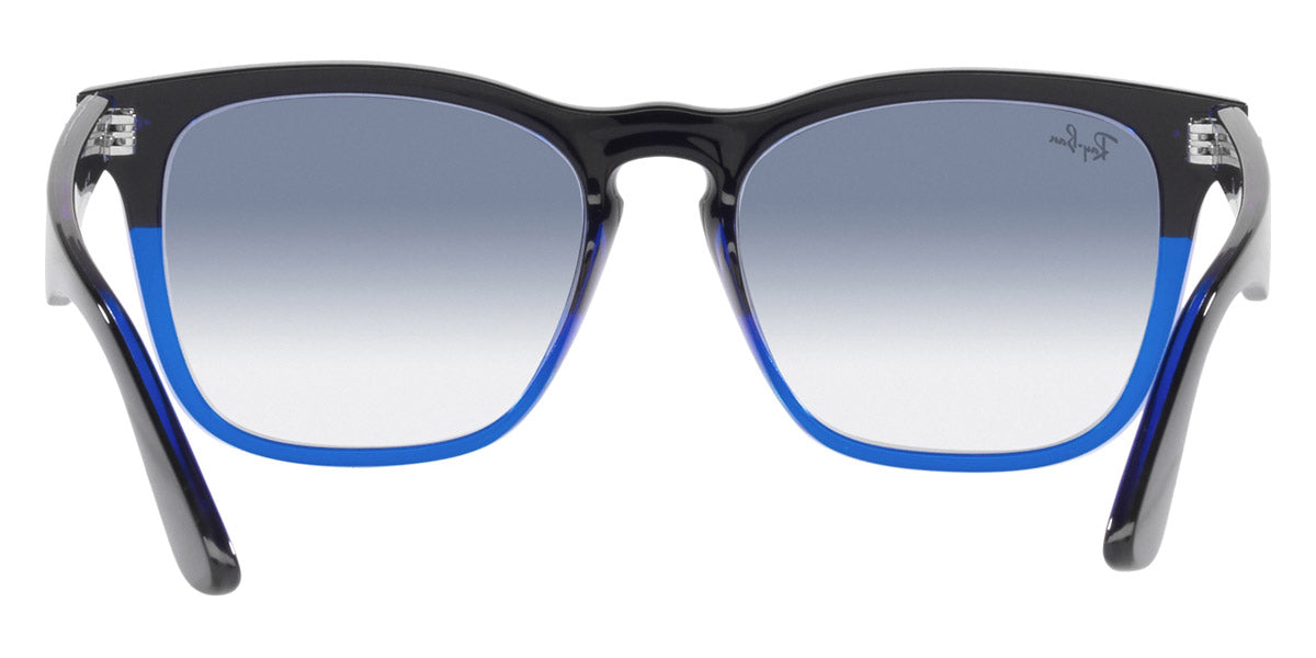 Ray-Ban® Steve RB4487   Sunglasses