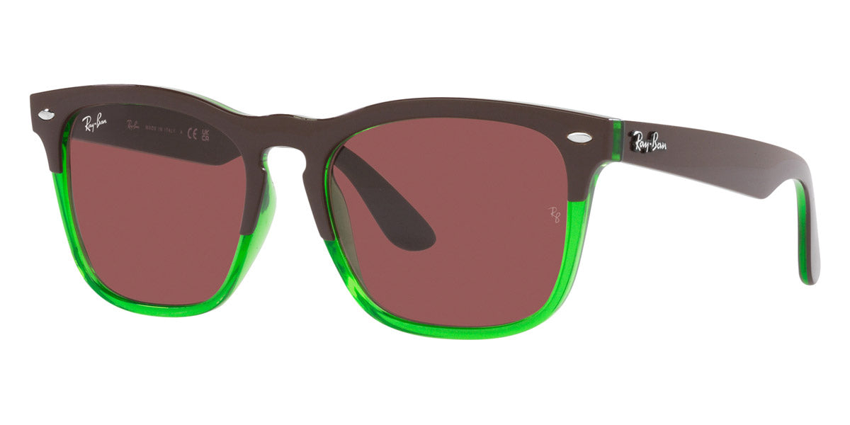 Ray-Ban® Steve RB4487   Sunglasses