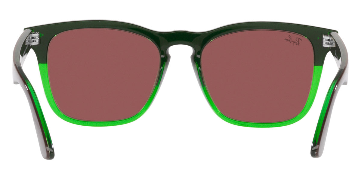 Ray-Ban® Steve RB4487   Sunglasses