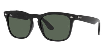 Ray-Ban® Steve RB4487F   Sunglasses