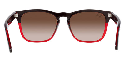 Ray-Ban® Steve RB4487F   Sunglasses