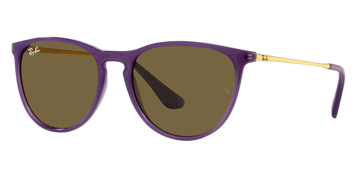 Ray-Ban® Junior Erika RJ9060S   Sunglasses