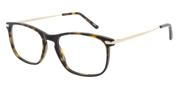 Andy Wolf® 4548 ANW 4548 B 53 - Brown/Gold B Eyeglasses