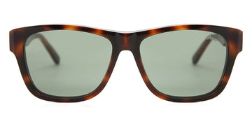 Brioni® BR0081S - Havana / Green Sunglasses