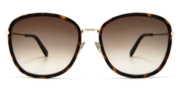 Bottega Veneta® BV0220SK - Havana / Brown Sunglasses